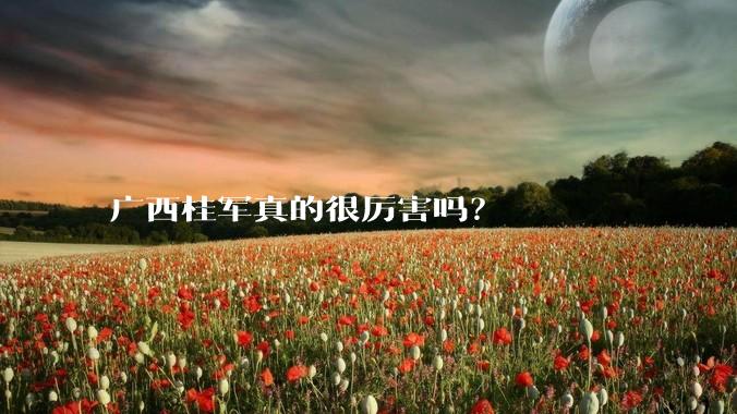 广西桂军真的很厉害吗？