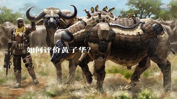 如何评价黄子华？